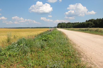 Large grass field in countryside and road