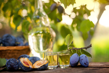 Enjoy in our rakia