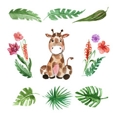 Naklejka premium Cute baby giraffe Animal for kindergarten, nursery, children clothing, pattern