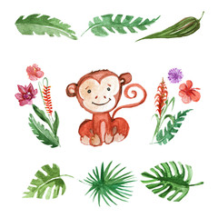 Naklejka premium Cute baby monkey Animal for kindergarten, nursery, children clothing, pattern