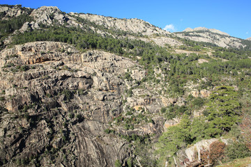 Fototapeta na wymiar Rocky landscape on Corsica Island, France