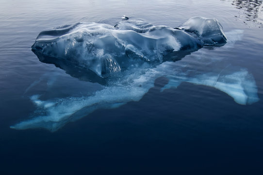 Black ice, Bahia Paraiso (Paradise Bay), Antarctic Peninsula, Antarctica 