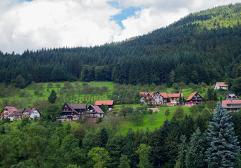 Fototapeta na wymiar paisaje de la Selva Negra en Alemania, verano de 2016