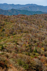紅葉した比良山 