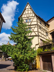 Visitando la pintoresca ciudad de Colmar a orillas del río ILL en Francia, en el verano de 2016 OLYMPUS CAMERA DIGITAL