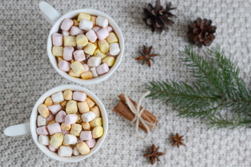 Fototapeta na wymiar Hot cocoa with marshmallows and Christmas decorations 