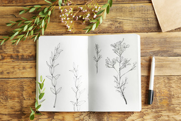 Collection of plants and sketchbook with drawings on wooden background