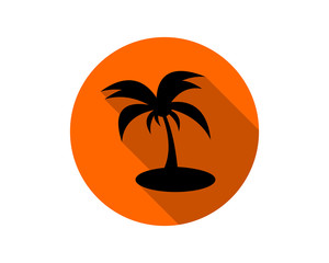 silhouette palm tree