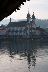 Fototapeta na wymiar Svizzera, 08/12/2016: un cigno e lo skyline di Lucerna con la Chiesa dei Gesuiti vista dal Ponte della Cappella 