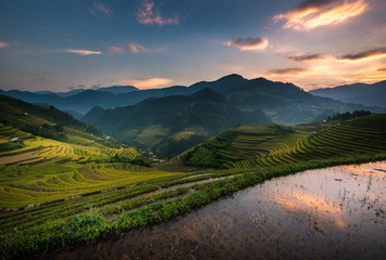 Fototapeta na wymiar Green Rice fields on terraced in Muchangchai, Vietnam