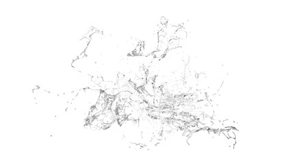 Obraz premium Isolated transparent splash of water splashing on a white backgr