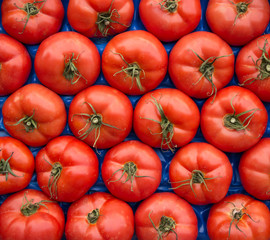 Tomatoes in box as a background.