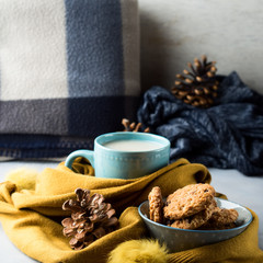 Mug of tea with milk and cookies in a soft winter scarf