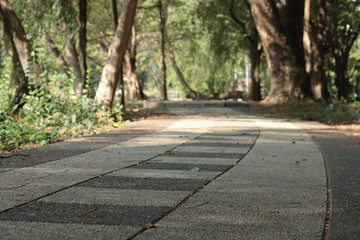 Wlaking road in park