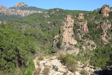 Fototapeta na wymiar Hillside on Corsica Island, France
