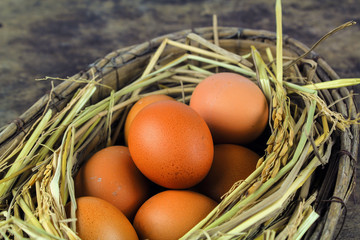 Brown eggs in nest hen eggs on wooden background