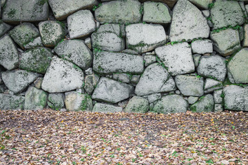 Stone wall texture background