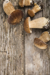 Raw mushrooms on a wooden table. Boletus edulis and chanterelles
