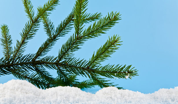Christmas tree branch and the white snow