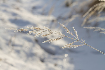 Frozen details of snowy landscape