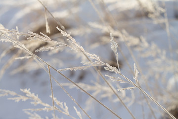 Frozen details of snowy landscape