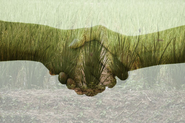 Man and women doing handshake due to agreement or understanding about rice deal between farmer and merchant or consumer.