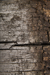 abstract texture of old wooden