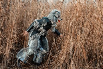 Man wolf werewolf, sneaking through the tall grass.