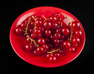 red currant berries