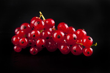 red currant berries