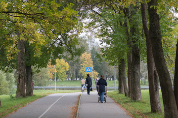 People walk in the Park. A pedestrian path, bike path. A woman with a stroller. A man on a Bicycle.
