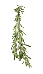 rosemary