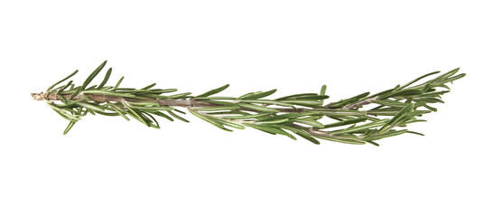 rosemary