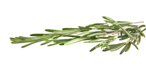 rosemary
