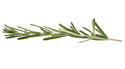 rosemary