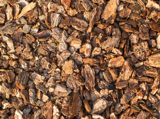 Pine bark mulch background