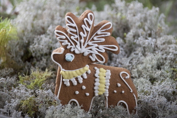 Christmas gingerbread in the form of a deer  .
