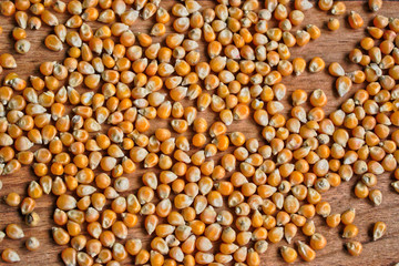 Popcorn kernels on a wooden table