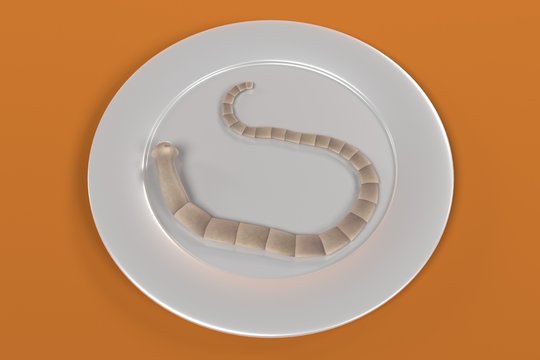 3d render of tapeworm on plate