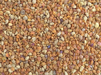 Close view of bee pollen granules.