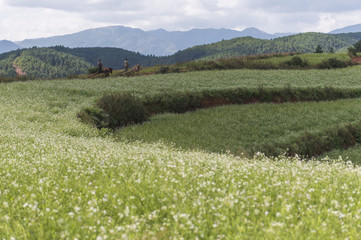 Hongtudi Dongchuan, Yunnan China