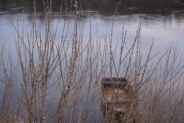 beautiful spring landscape: Boat by the river, and the willow, nature