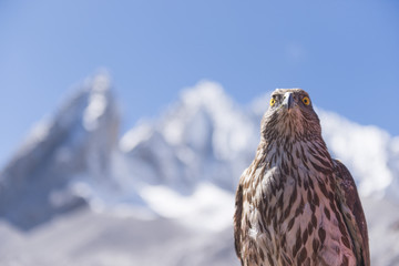 Eagle and Snow mountains