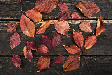 Autumn leaves on vintage wooden table
