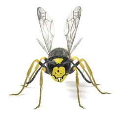 realistic 3d render of vespula vulgaris