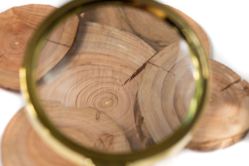 Obraz premium Concept dendrochronology. tree trunks clearly visible annual rin