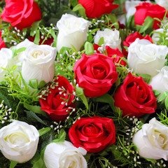  fake roses, floral background