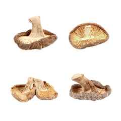 Dried shiitake mushrooms isolated on white background.