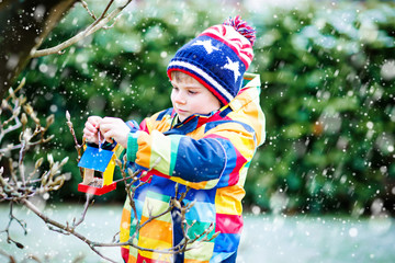 Little kid boy hanging bird house on tree for feeding in winter