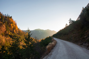 Mountain park wildlife reserve Karwendel in Alps Europe Austria. Road to sunset